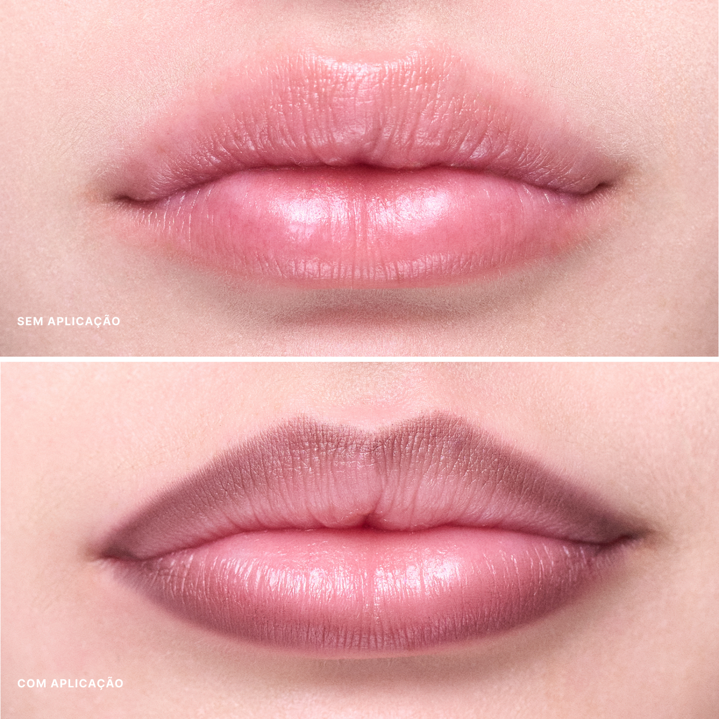 Contorno Labial