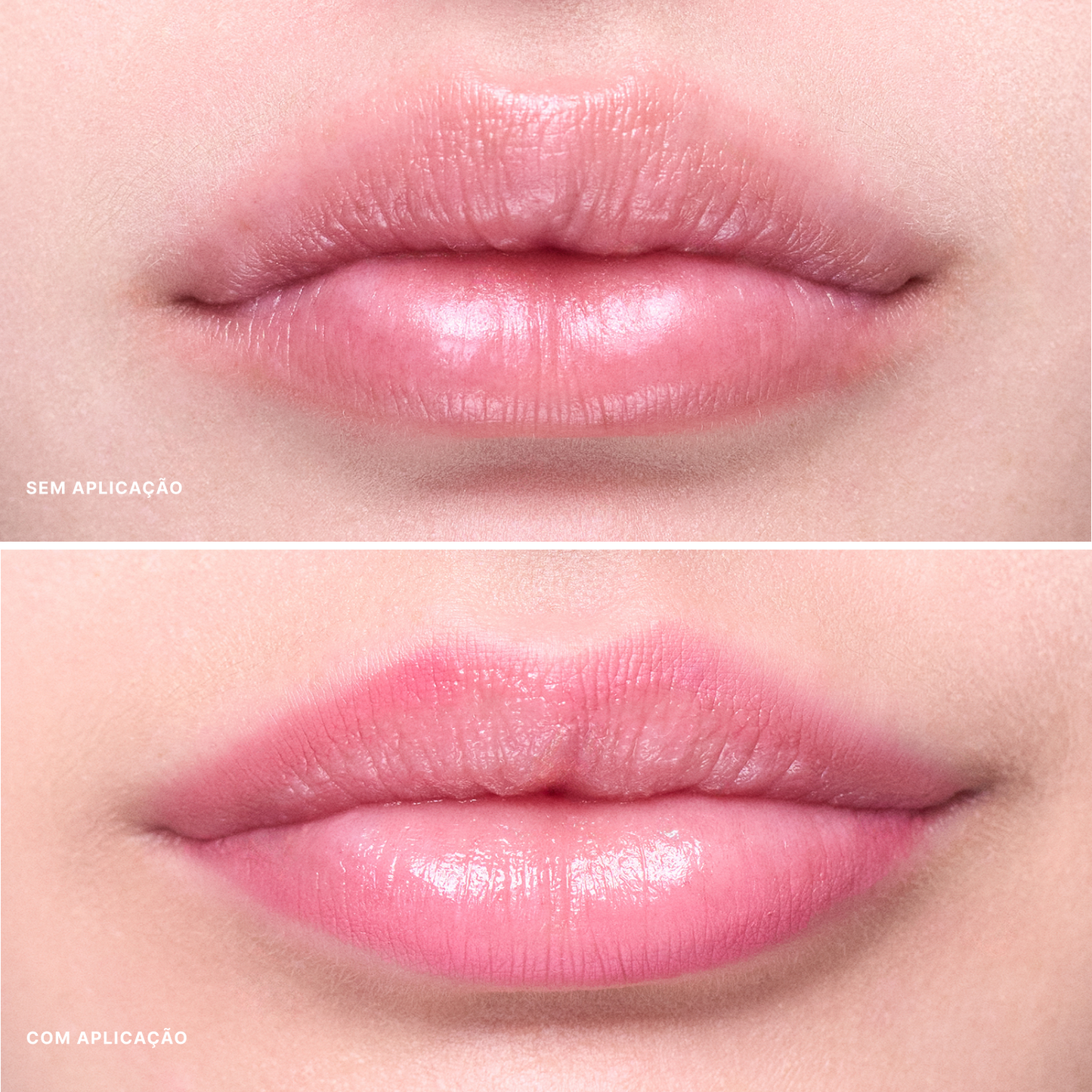 Contorno Labial