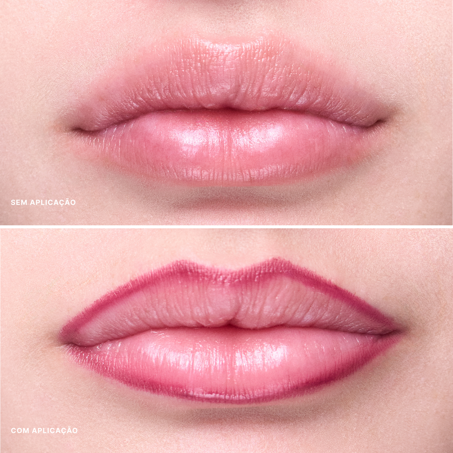 Contorno Labial