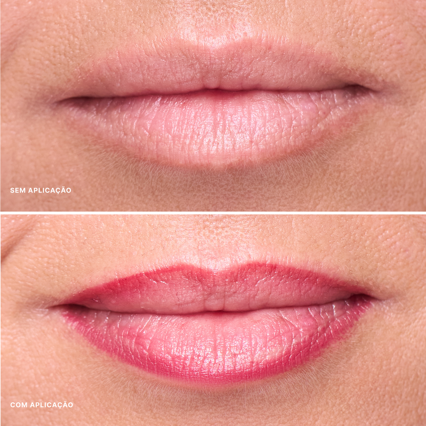 Contorno Labial