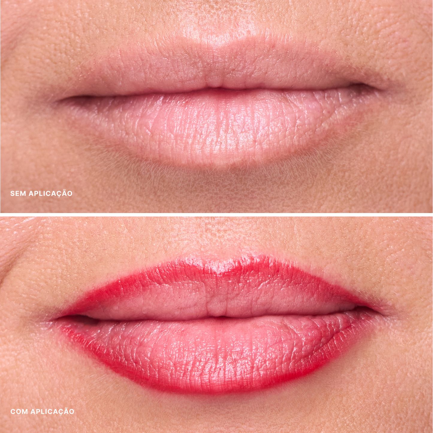 Contorno Labial